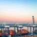 SC Ports records dip in February volumes