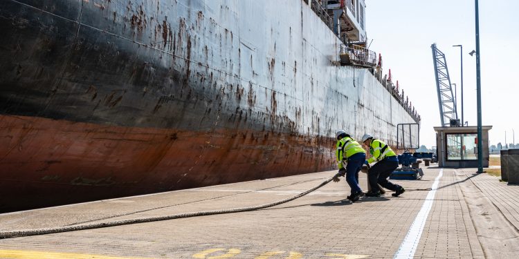Port of Antwerp-Bruges sees container throughput decline by 7% amid uncertain economic climate