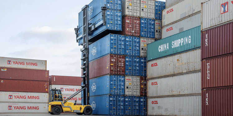 Experts call for exploration into pest-resistant container design