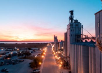 green methanol dry bulk vessel