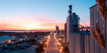 green methanol dry bulk vessel