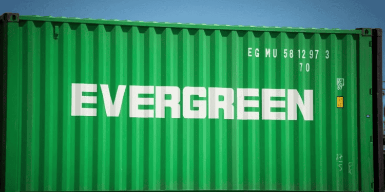 evergreen-feeder-newbuild-orderbook-risk