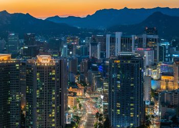 MSC Sinokor Maritime stake