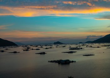 APM Terminals Hateco Hai Phong